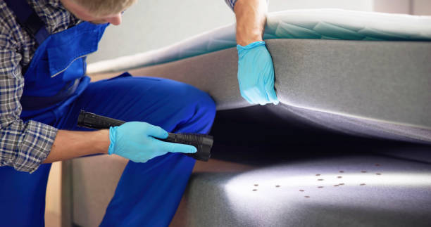 Best Local Pest Control Services  in Pike Road, AL