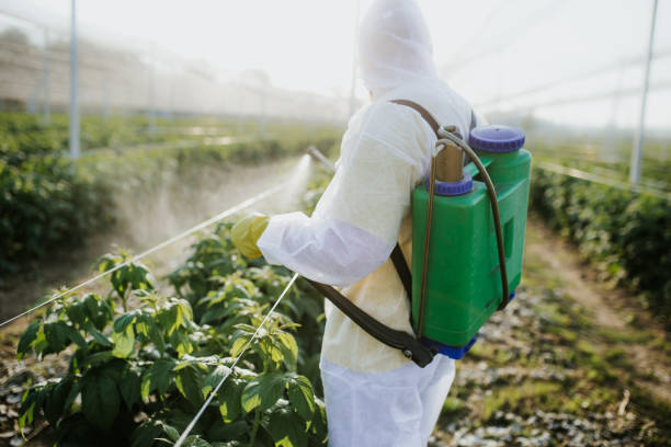 Best Mosquito Control Services  in Pike Road, AL